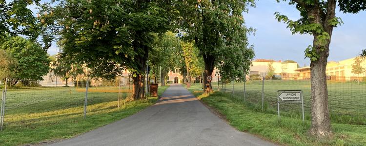 Blick in die Einfahrt